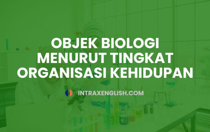 objek biologi menurut tingkat organisasi kehidupan